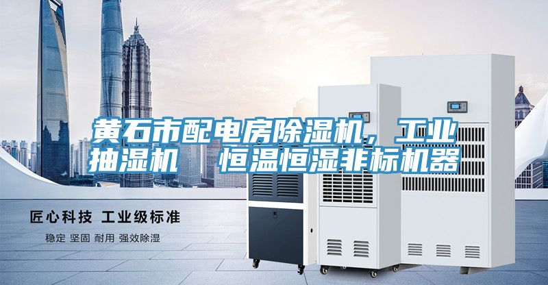 黃石市配電房除濕機，工業(yè)抽濕機  恒溫恒濕非標機器